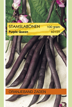 Oranjeband zaden Stamslabonen Purple Queen